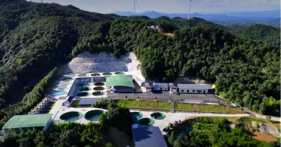 ��ҳ | welcometoӭ�ӻ���888���Ź�˾����